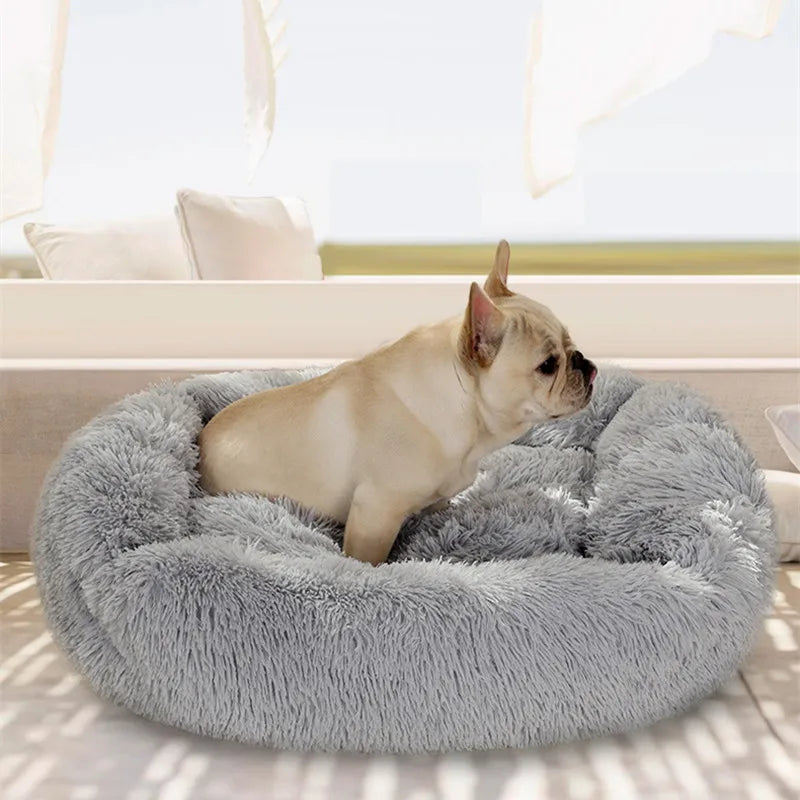 Plush & Fluffy Pet Bed