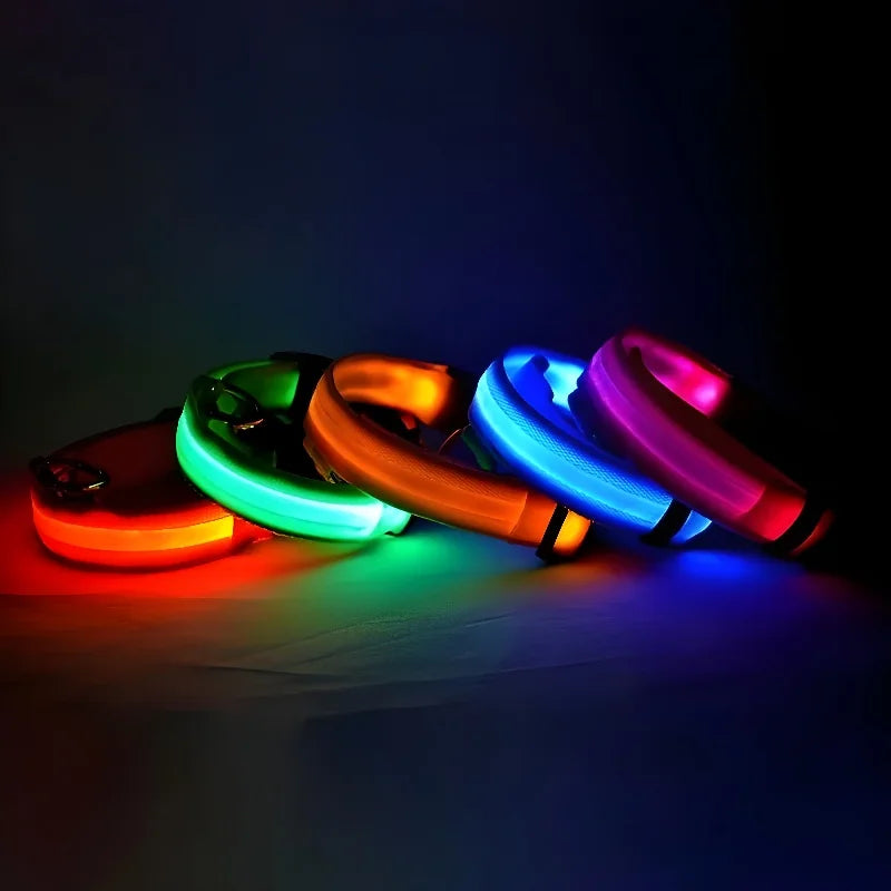 Glow-in-the-Dark Pet Collar
