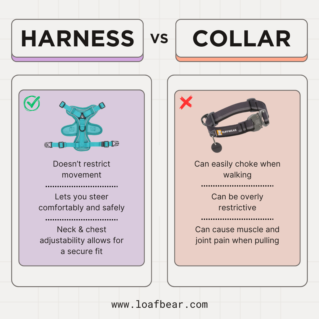 No-Pull Harness