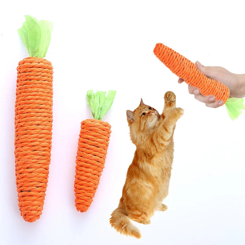 Carrot Chew Toy