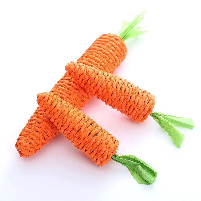 Carrot Chew Toy