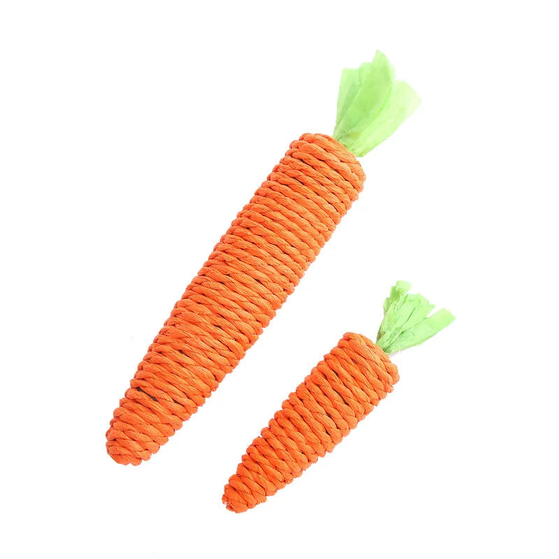 Carrot Chew Toy