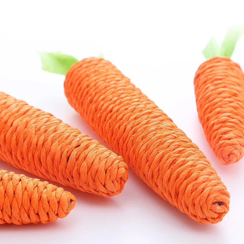 Carrot Chew Toy