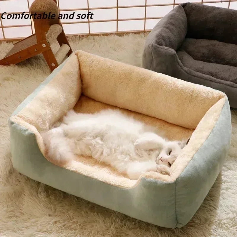 Cushioned Pet Bed