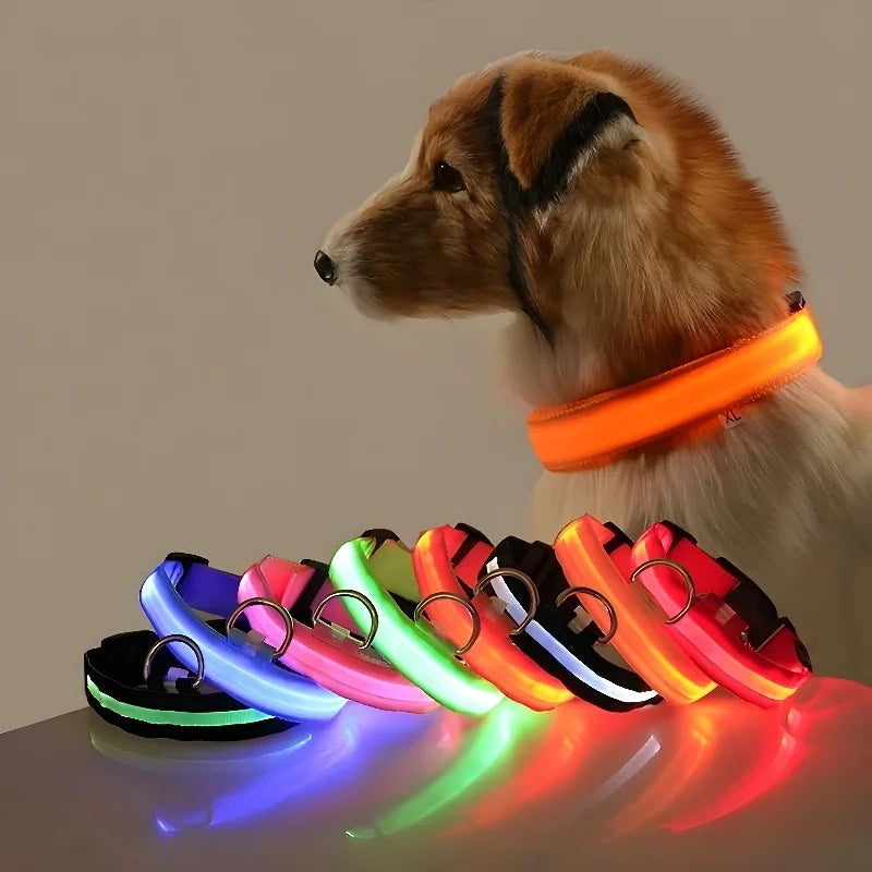 Glow-in-the-Dark Pet Collar