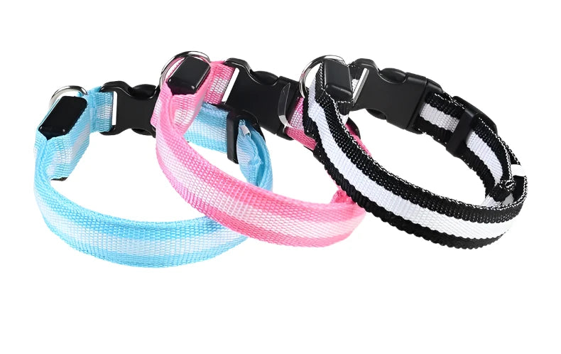 Glow-in-the-Dark Pet Collar